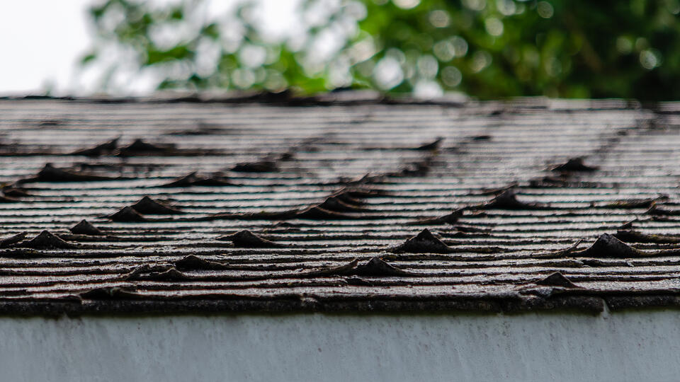 curling shingles-close up of curling shingles on roof