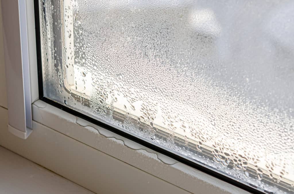 window seal failure with condensation