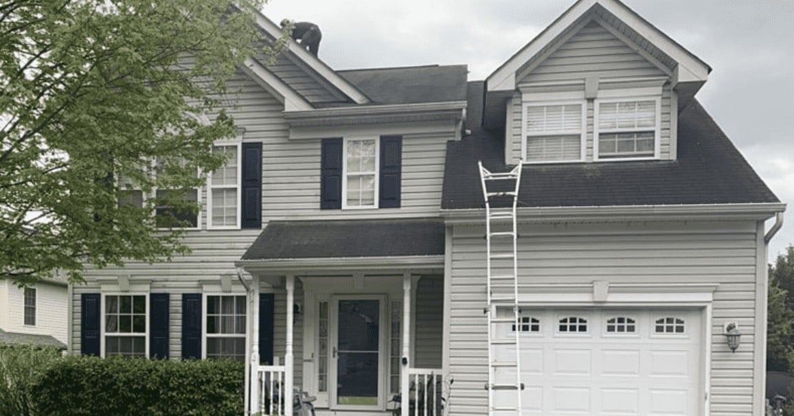 Project Before Image