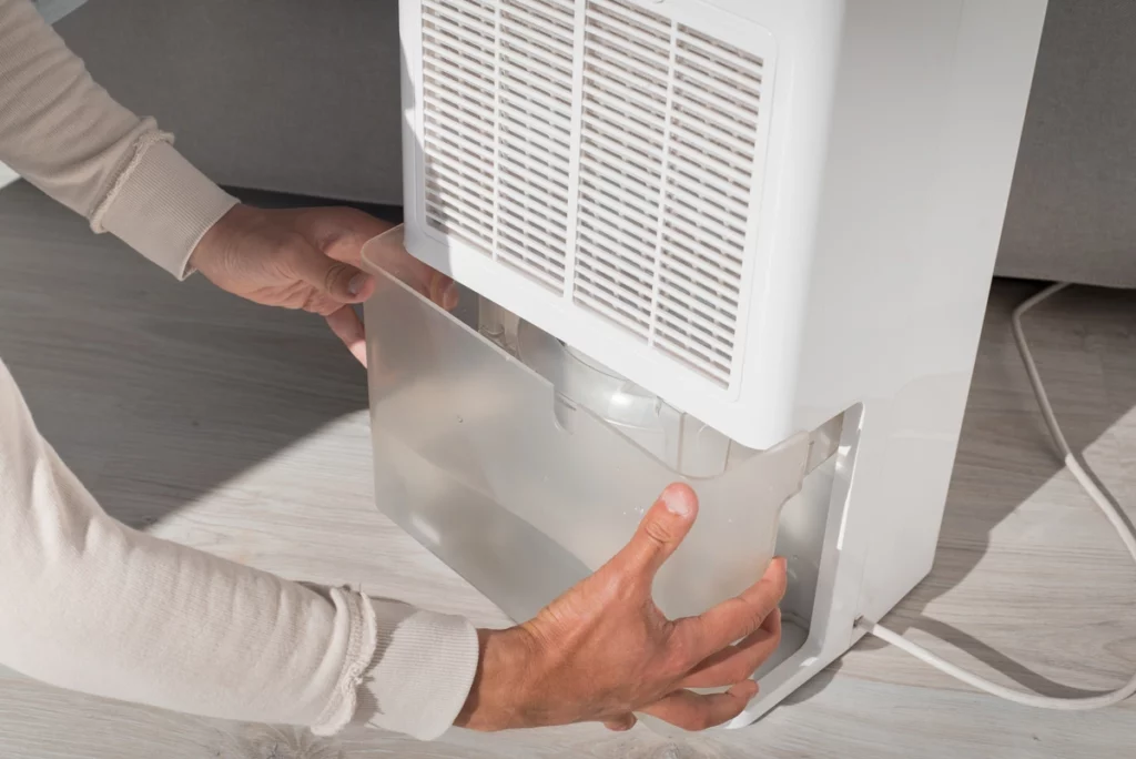 woman changes filter on dehumidifier and deals with condensation buildup on windows