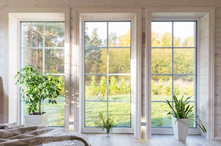 bright room with big white windows and plants front