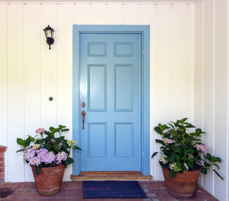 house door with plants next to
