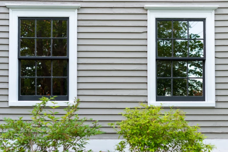two windows with white frames
