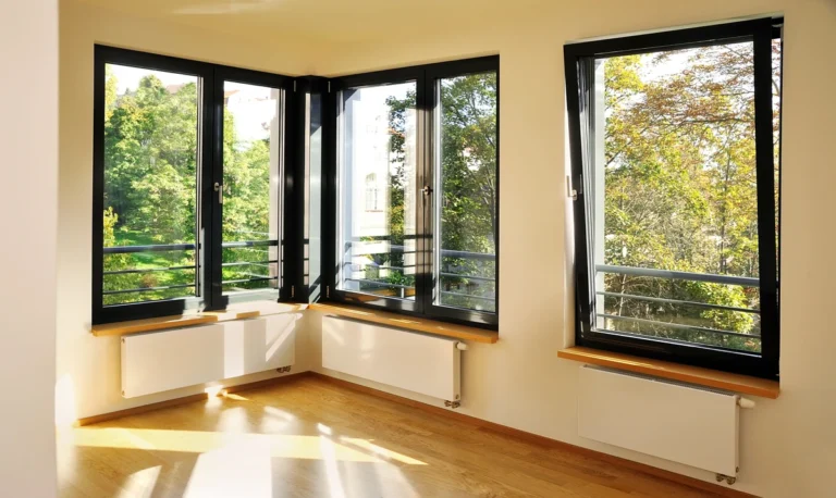black-trim-windows