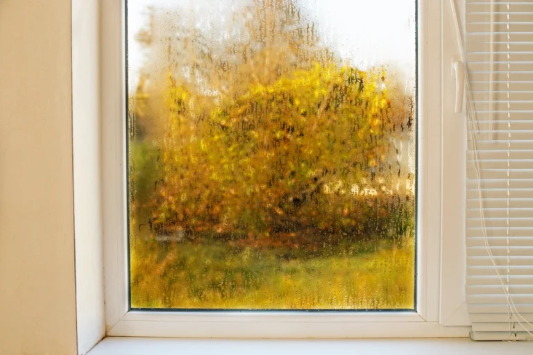 foggy-window-in-autumn