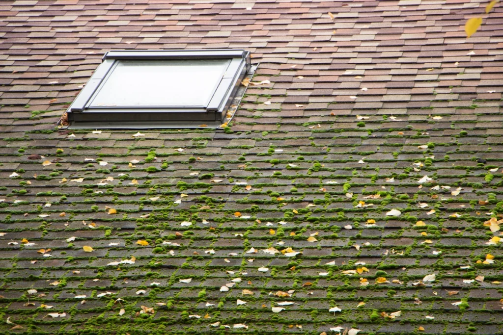 roof flashing repair-skylight flashing on a mossy roof