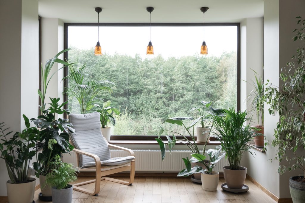 window styles Urban jungle apartment. Grey armchair near big panoramic window, indoor plants, monstera, palm trees. Biophilia design. Cozy tropical home garden. Eco friendly decor of living room