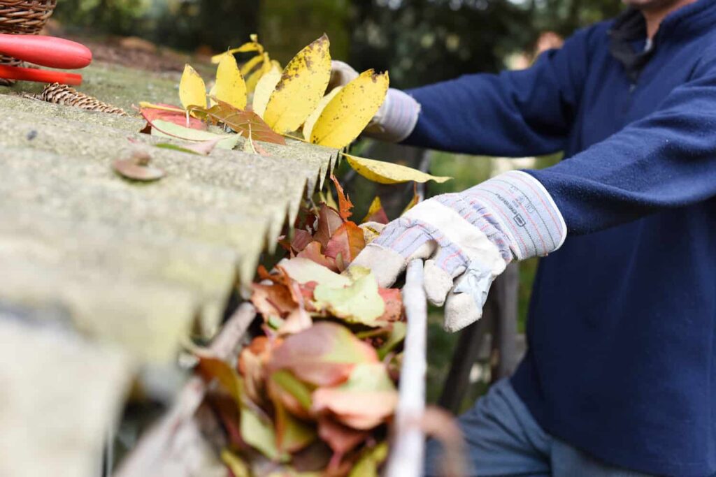 pair of hands with work gloves cleaning leaves out of gutters