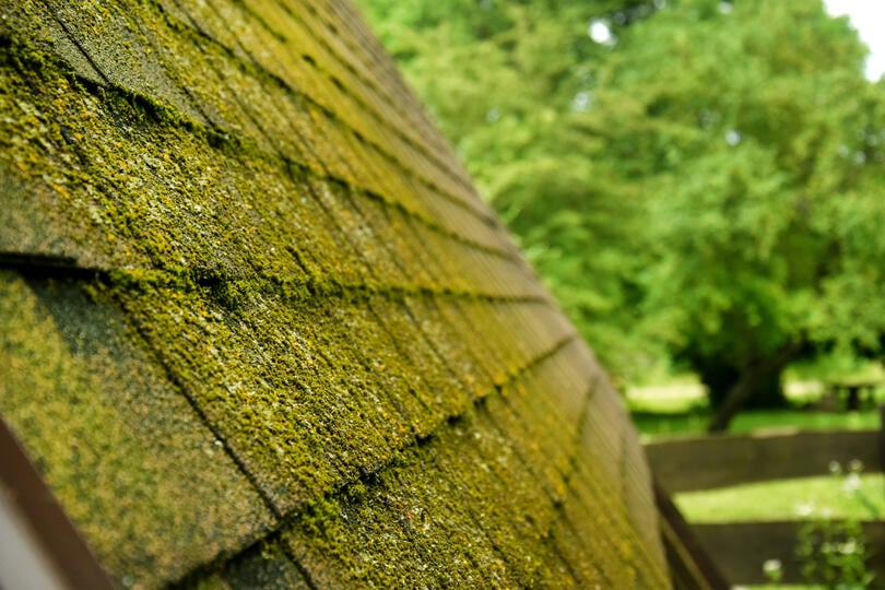 roof moss removal-profile view of a roof covered in a layer of moss