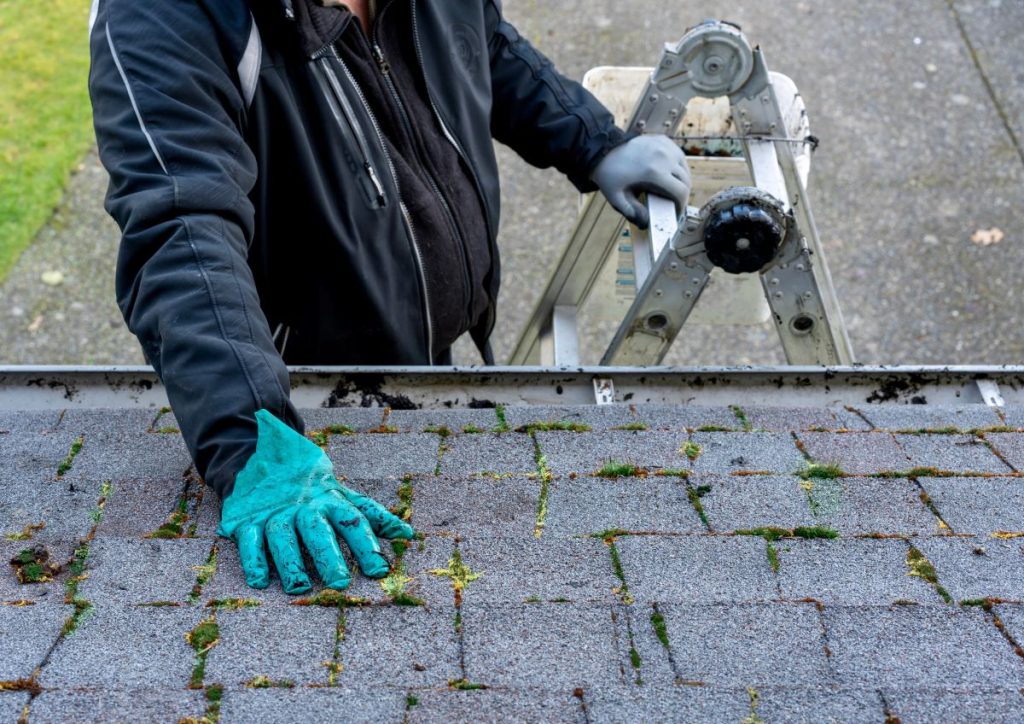roof moss removal guy washing gently roof
