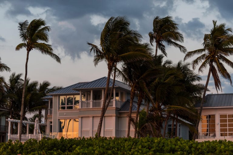 what are storm windows-coastal homes with storm windows and palm trees blowing under high winds