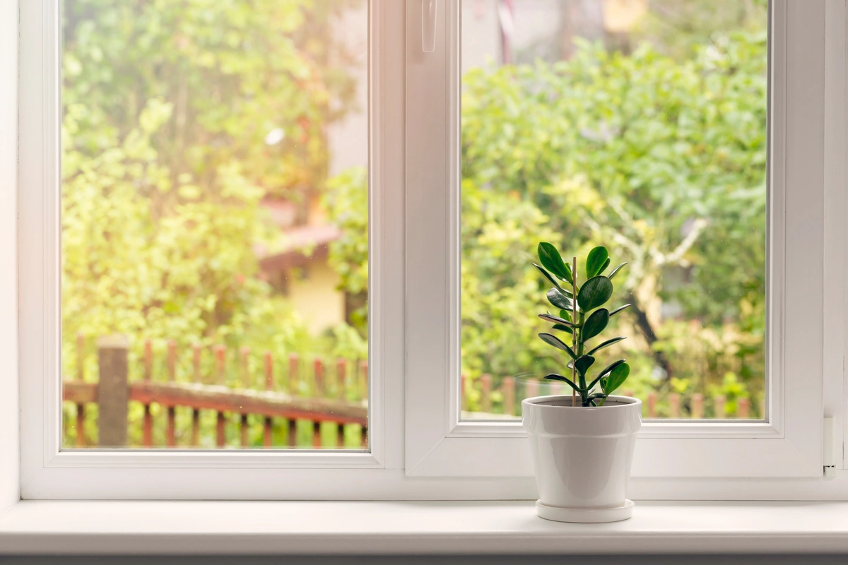 new installed windows