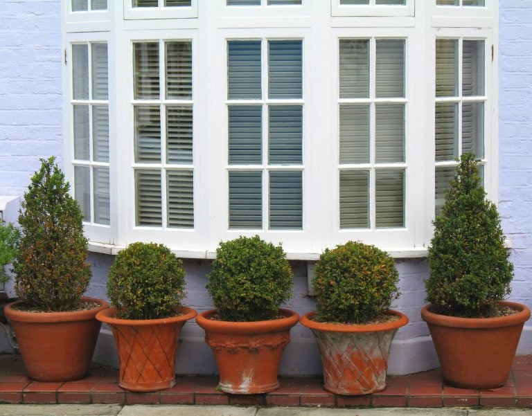 bow window vs bay window-exterior view of a bow window on a white brick home with potted plants in front of the windows