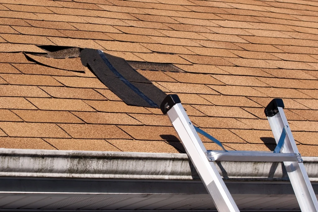 inspecting shingle roof damage repair