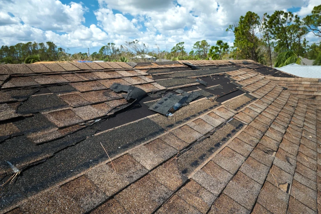 shingle roof damage from storm