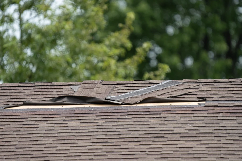 shingle roof damage from wind